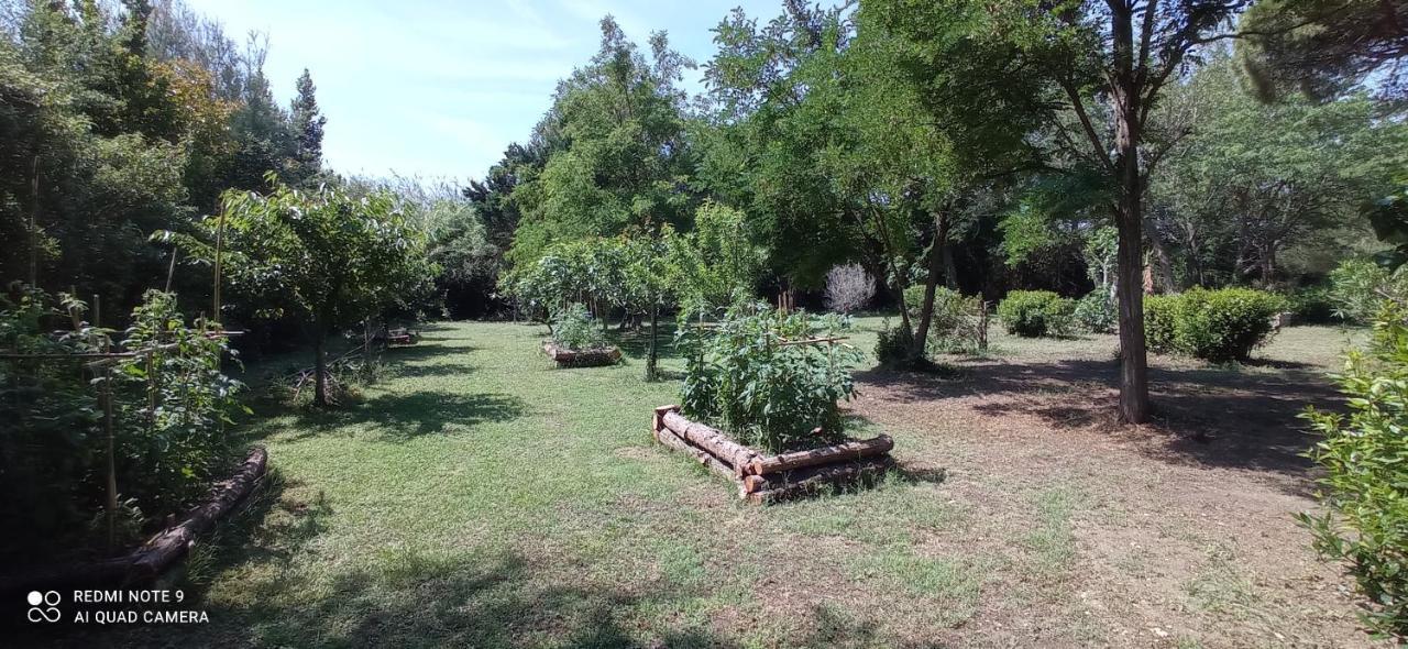 Le Mas Neuf 1752 Αρλ Εξωτερικό φωτογραφία